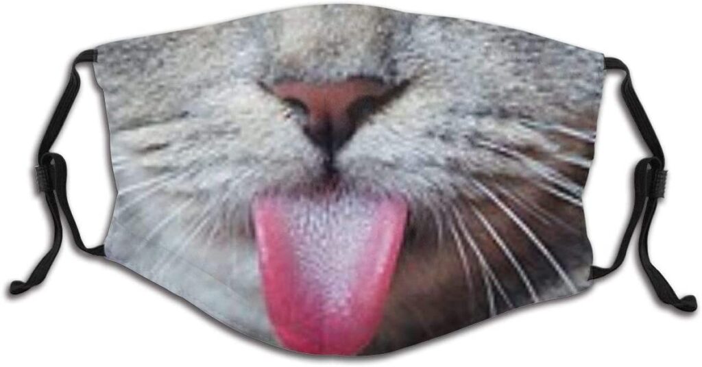 tapa boca cara de gato